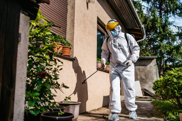 Trusted Port Monmouth, NJ Pest Control Experts
