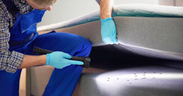 Best Affordable Pest Control Services  in Port Monmouth, NJ