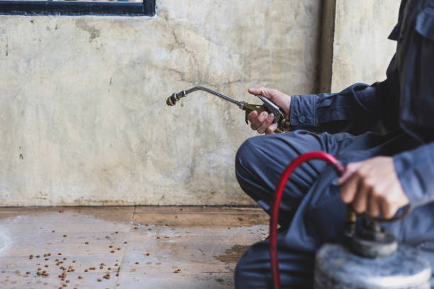 Pest Control Cost in Port Monmouth, NJ